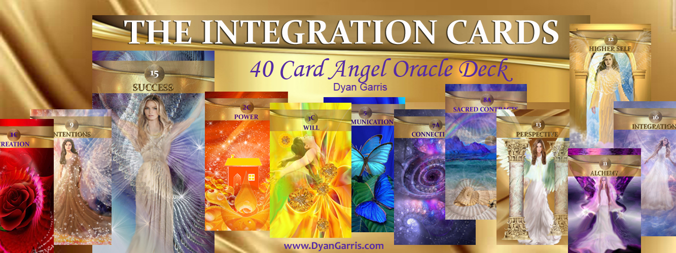 dyan garris integration cards banner 1200 x 500